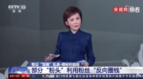 央视爆料粉条视频大全,央视曝光视频大全深度解析 第1张 央视爆料粉条视频大全,央视曝光视频大全深度解析 第1张