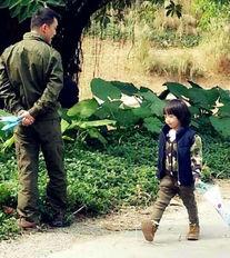 鹰潭虎岭村长爆料视频,揭秘乡村发展背后故事 第3张 鹰潭虎岭村长爆料视频,揭秘乡村发展背后故事 第3张