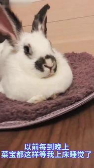 甜心兔最初爆料出来的视频,幕后真相大起底 第3张 甜心兔最初爆料出来的视频,幕后真相大起底 第3张